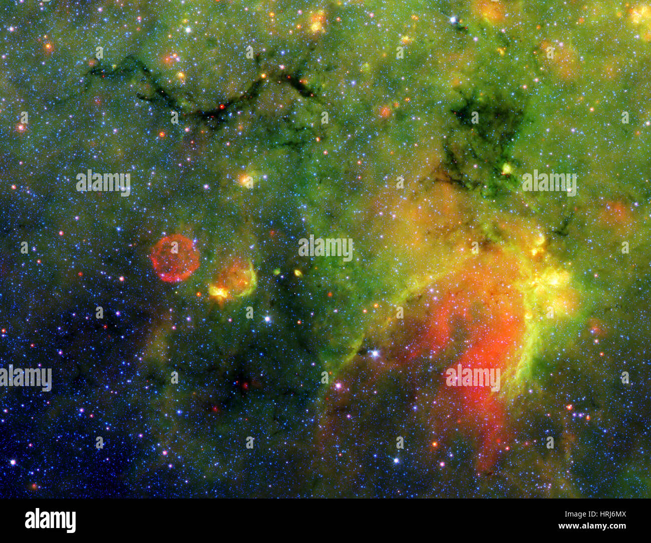 Galactic Supernova, où vivent les serpents Banque D'Images