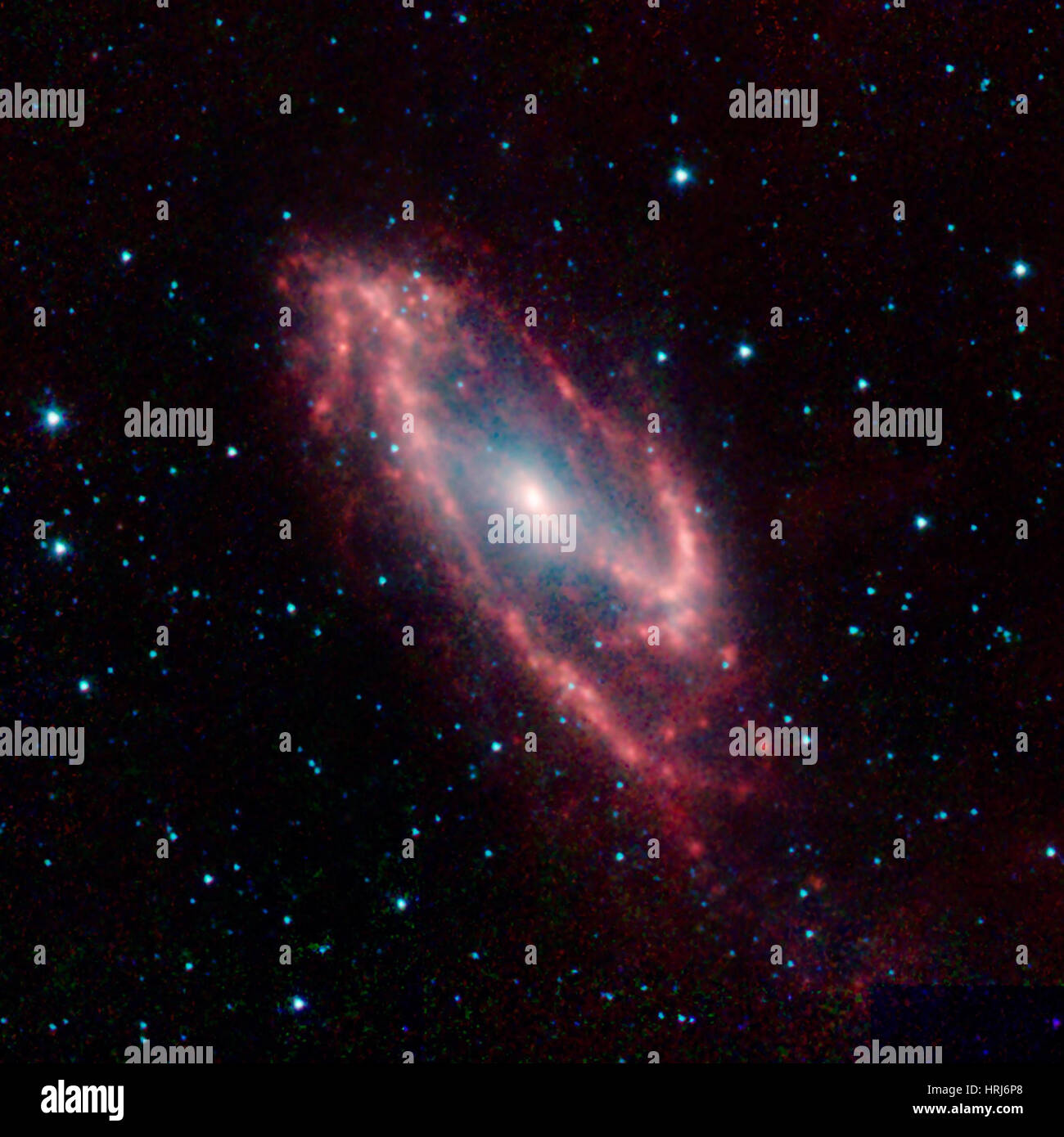 Maffei 2, Galaxie spirale intermédiaire Banque D'Images