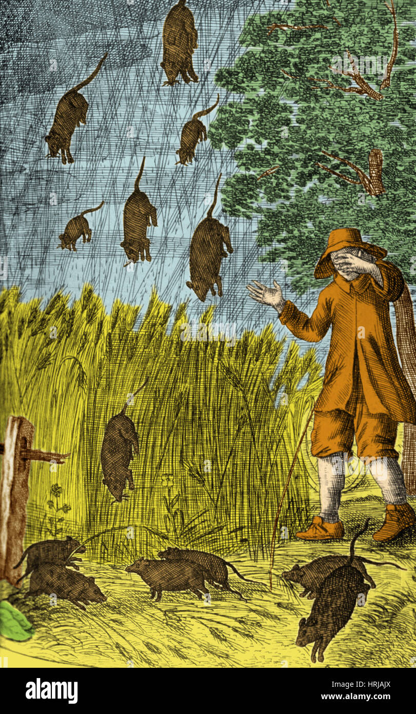 Pleuvoir Les Rats, 1680 Banque D'Images