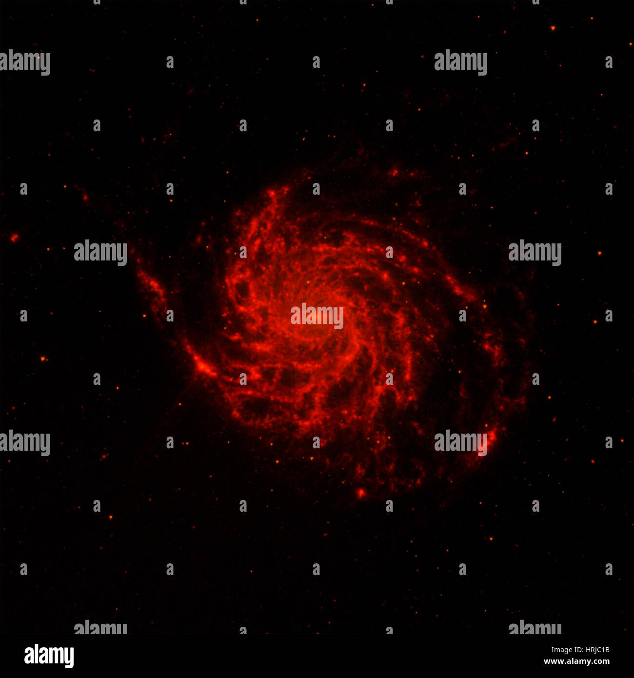 M101, Galaxie Pinwheel, infrarouge Banque D'Images