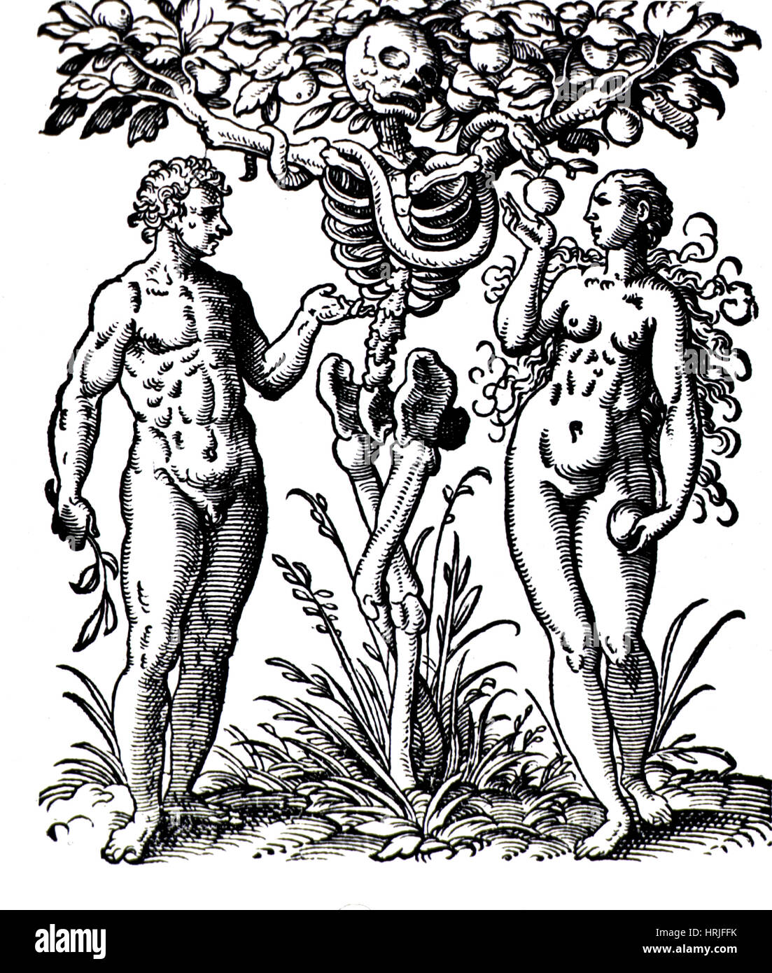 Jardin d'Eden, Adam et Eve, 1580 Banque D'Images