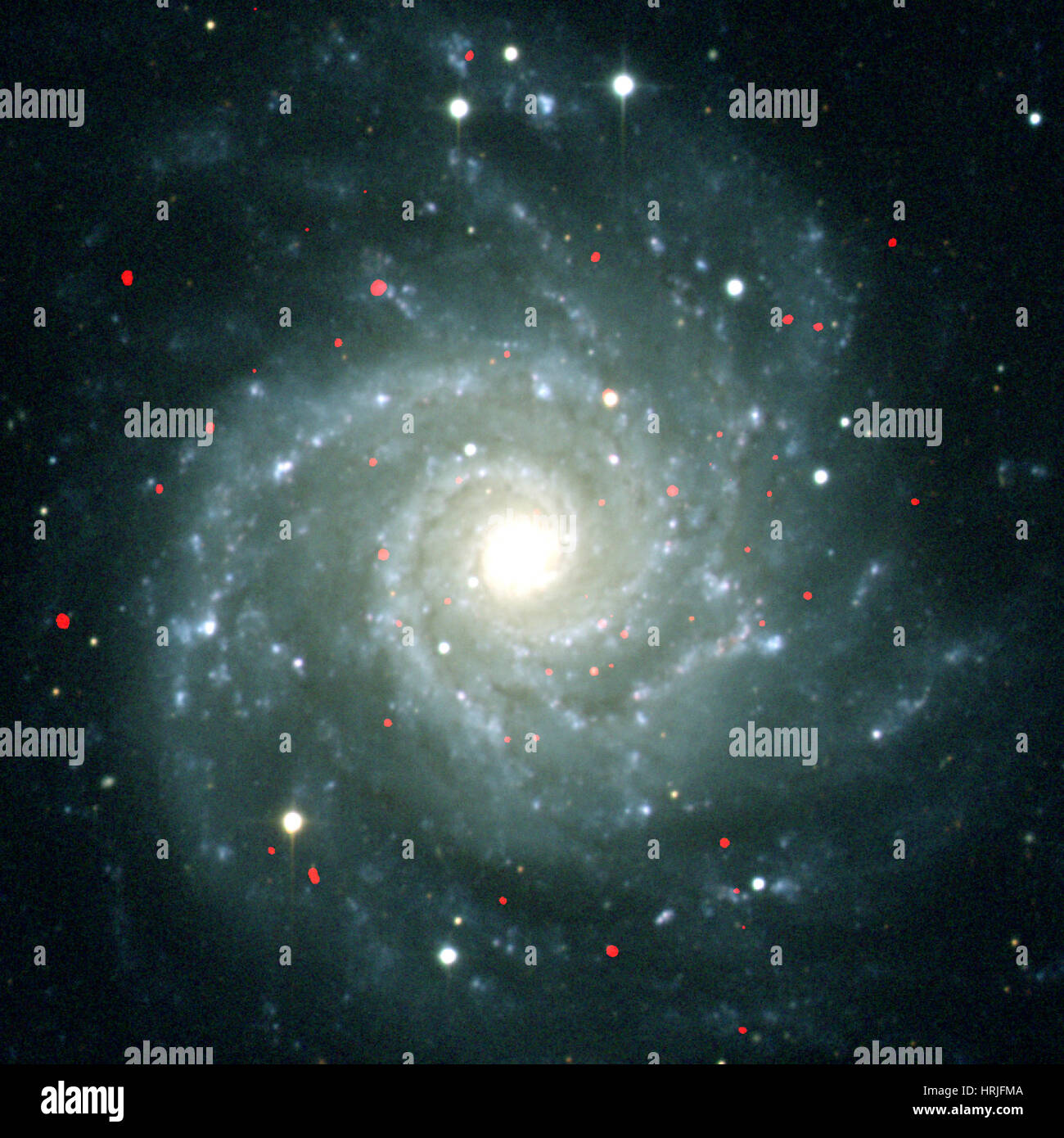 Galaxie spirale M74, NGC 628, Composite Banque D'Images