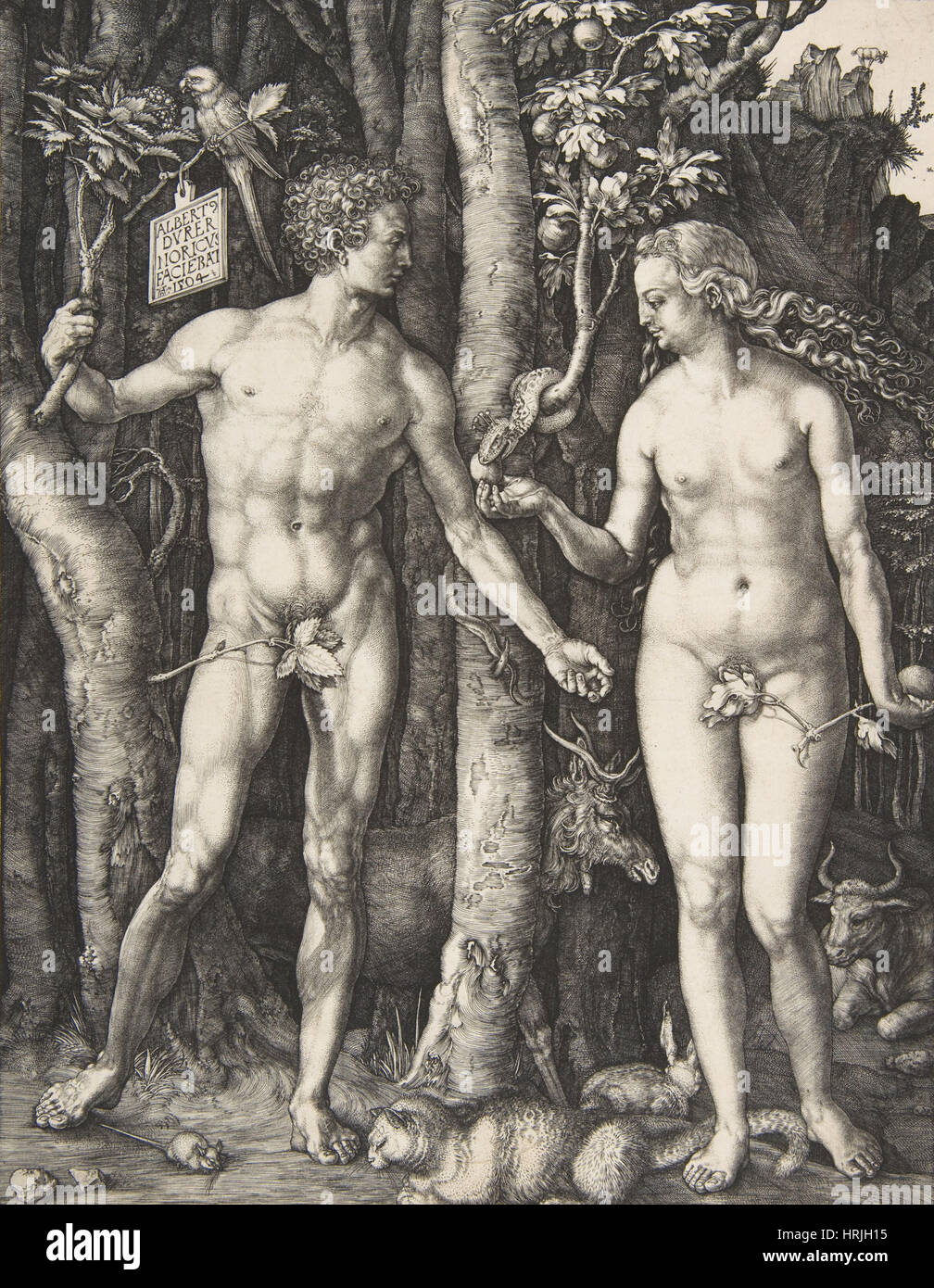 Jardin d'Eden, Adam et Eve par Albrecht DÌ rer Banque D'Images