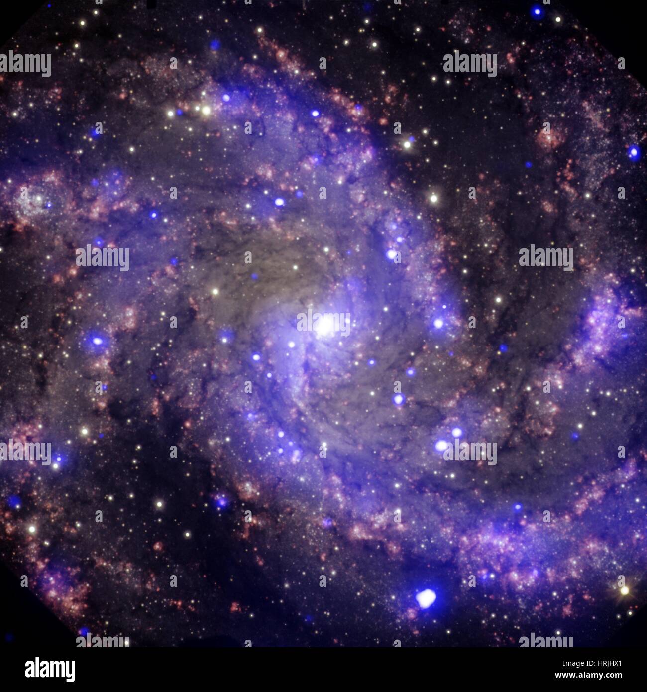 NGC 6946, la galaxie d'artifice Banque D'Images