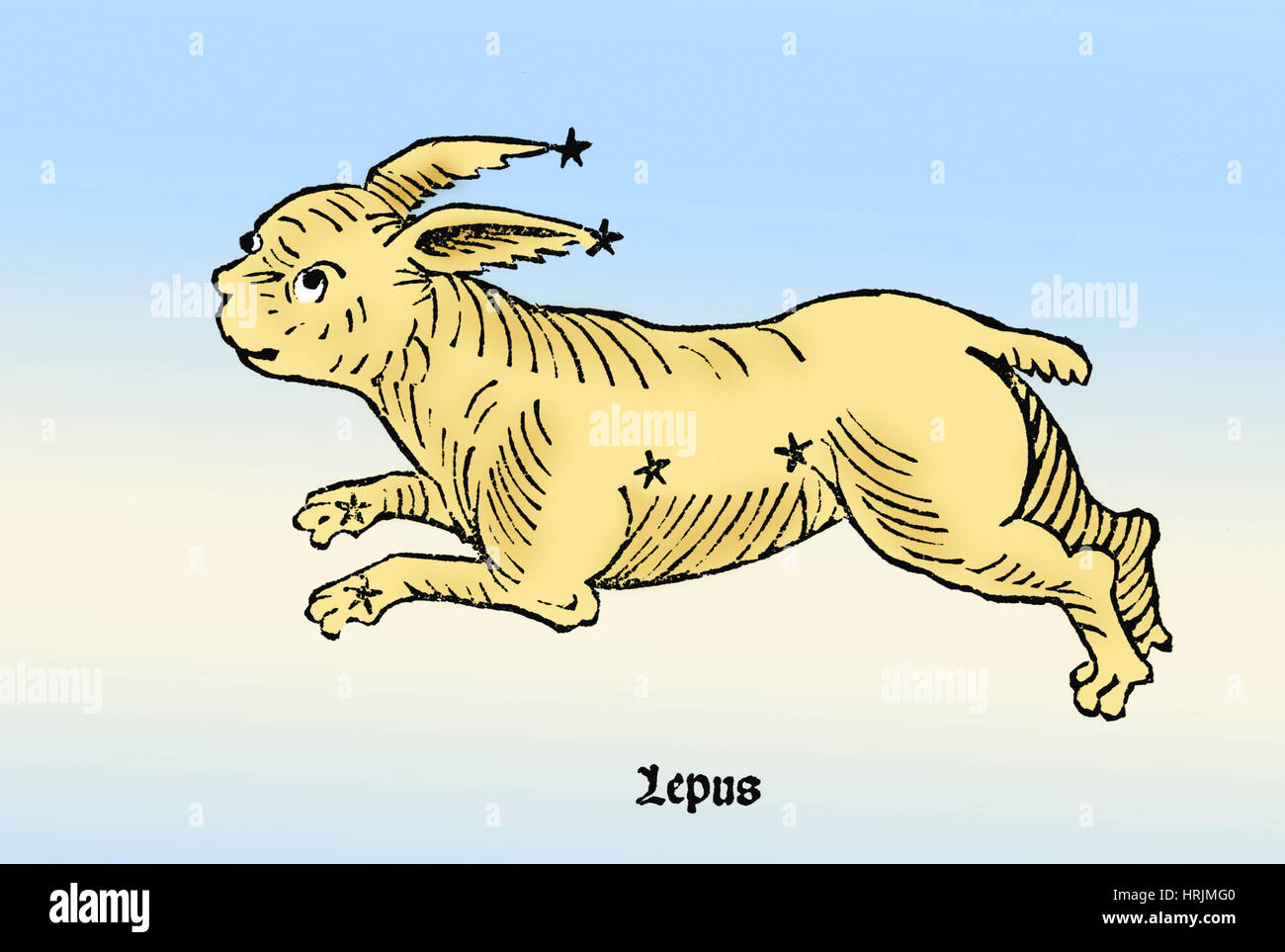 Le lièvre Lepus, Constellation Banque D'Images