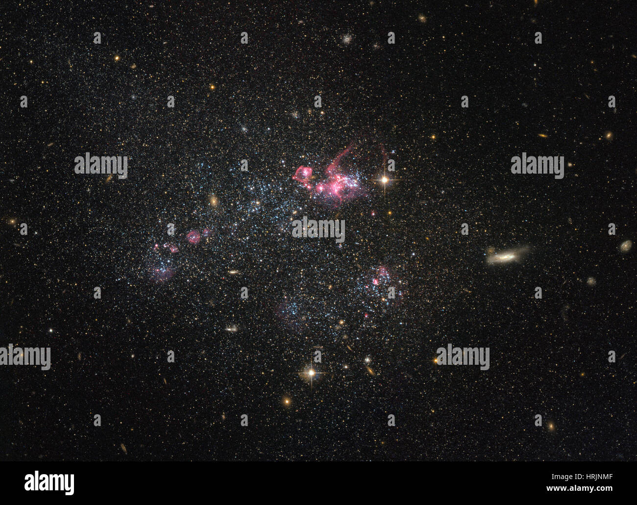 UGC 4459 galaxie naine irrégulière Banque D'Images