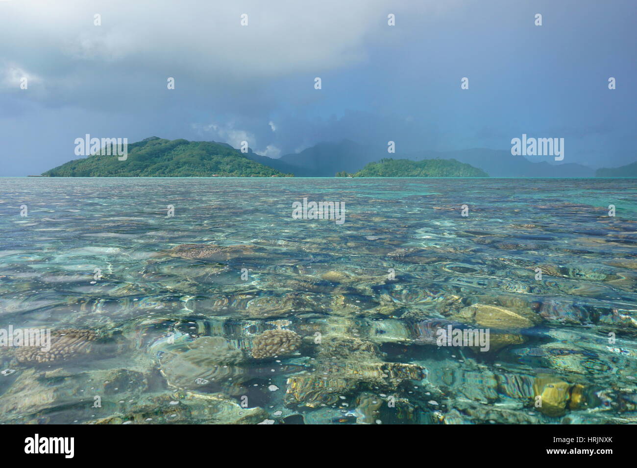 Polynésie Française du beau temps sur le lagon avec les coraux sous l'eau de pluie et de surface sur l'île de Huahine en arrière-plan , océan Pacifique sud Banque D'Images