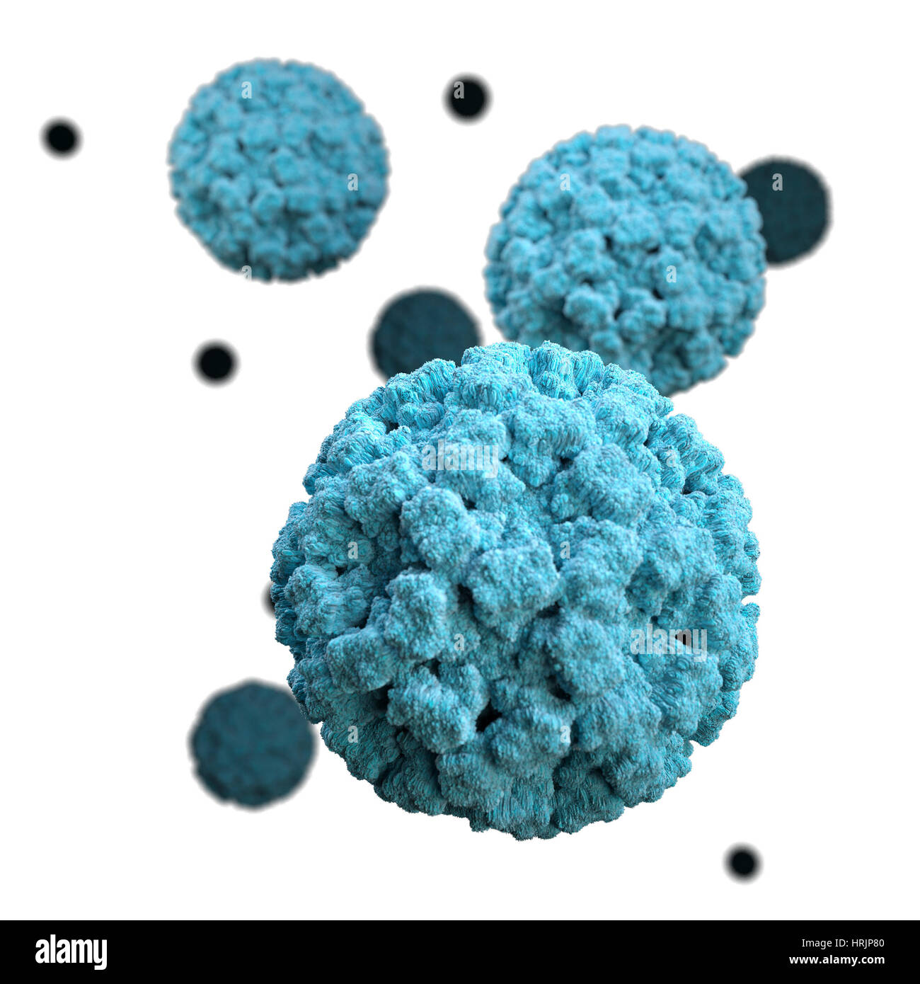 Les norovirus, le modèle 3D Banque D'Images