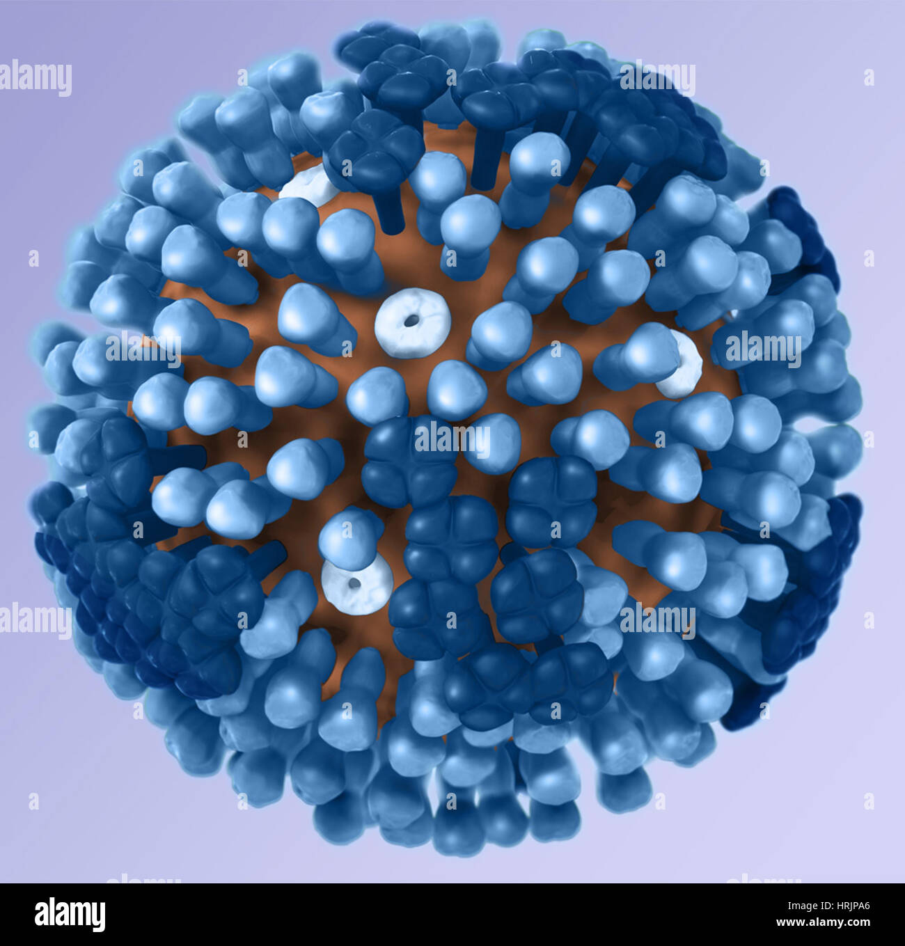 Le virus de l'influenza, modèle 3D Banque D'Images
