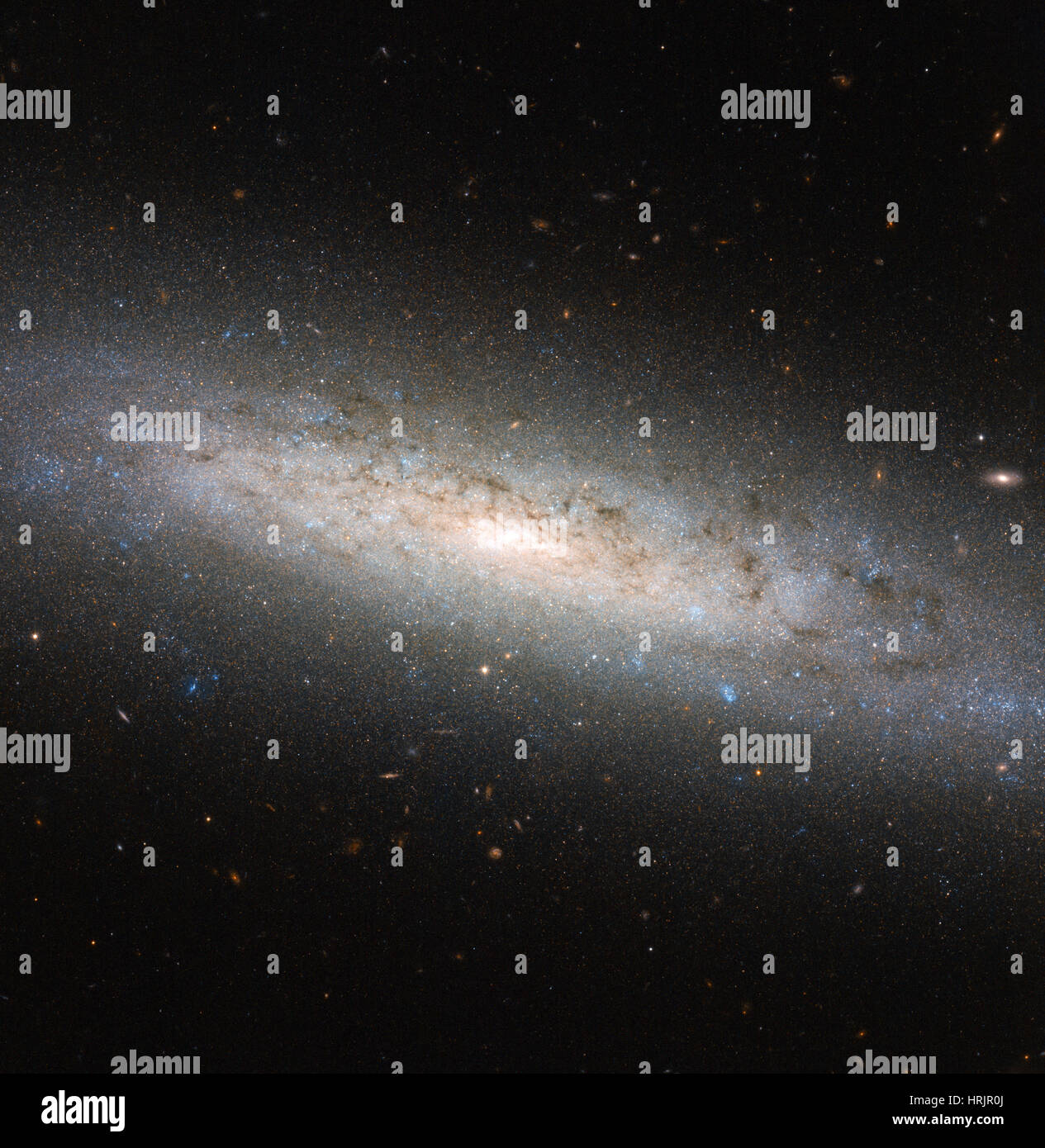 Galaxie spirale NGC 24 Banque D'Images