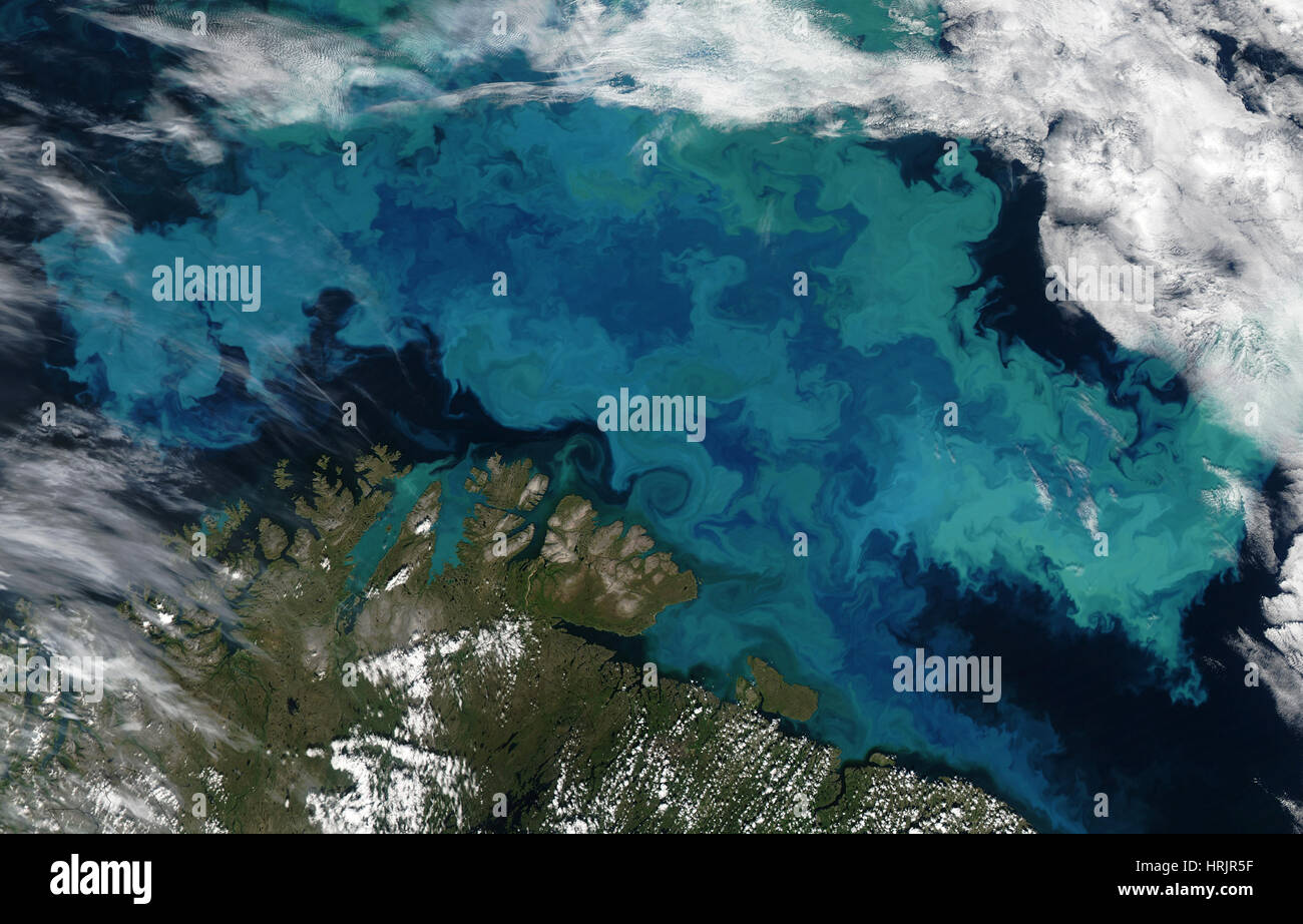 Bloom planctonique, mer de Barents, la vue Satellite Banque D'Images