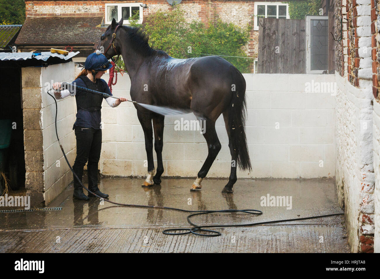 Femme par jet d'un cheval brun à l'extérieur d'un stable. Banque D'Images