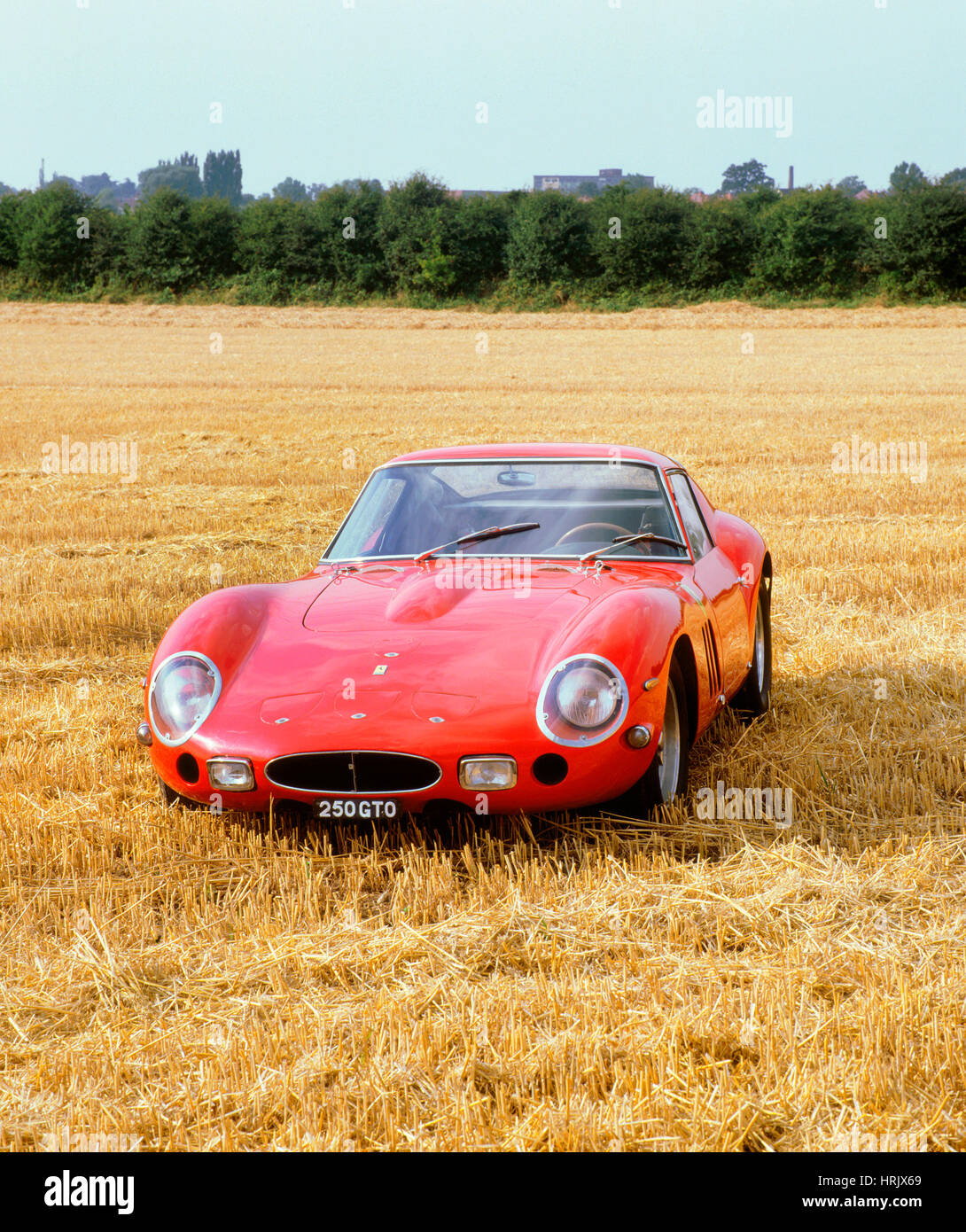 1963 Ferrari 250 GTO Banque D'Images