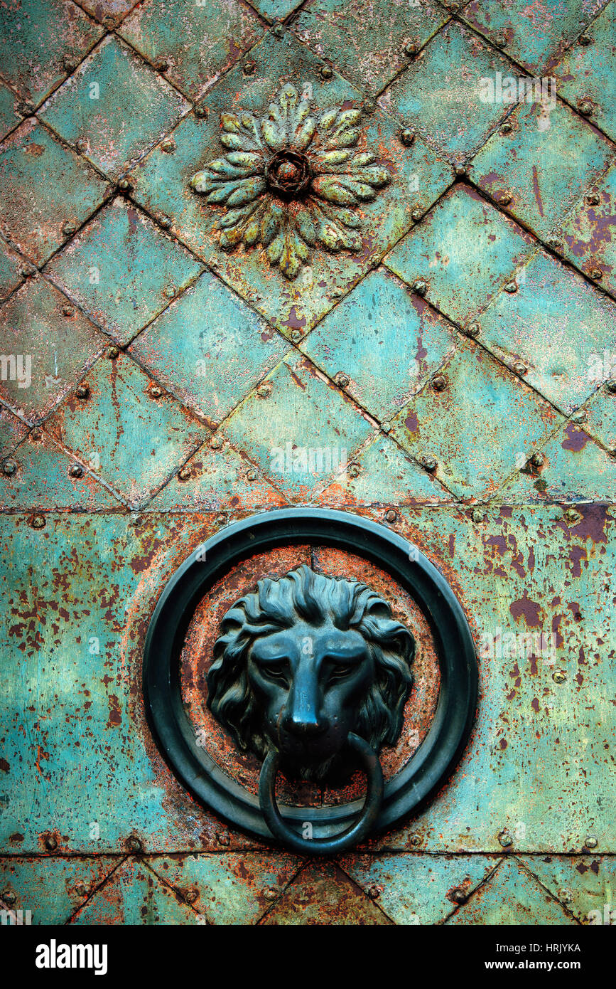 Bouton décoratif tête de lion doré et knocker sur la vieille porte de métal avec des marques de corrosion Banque D'Images