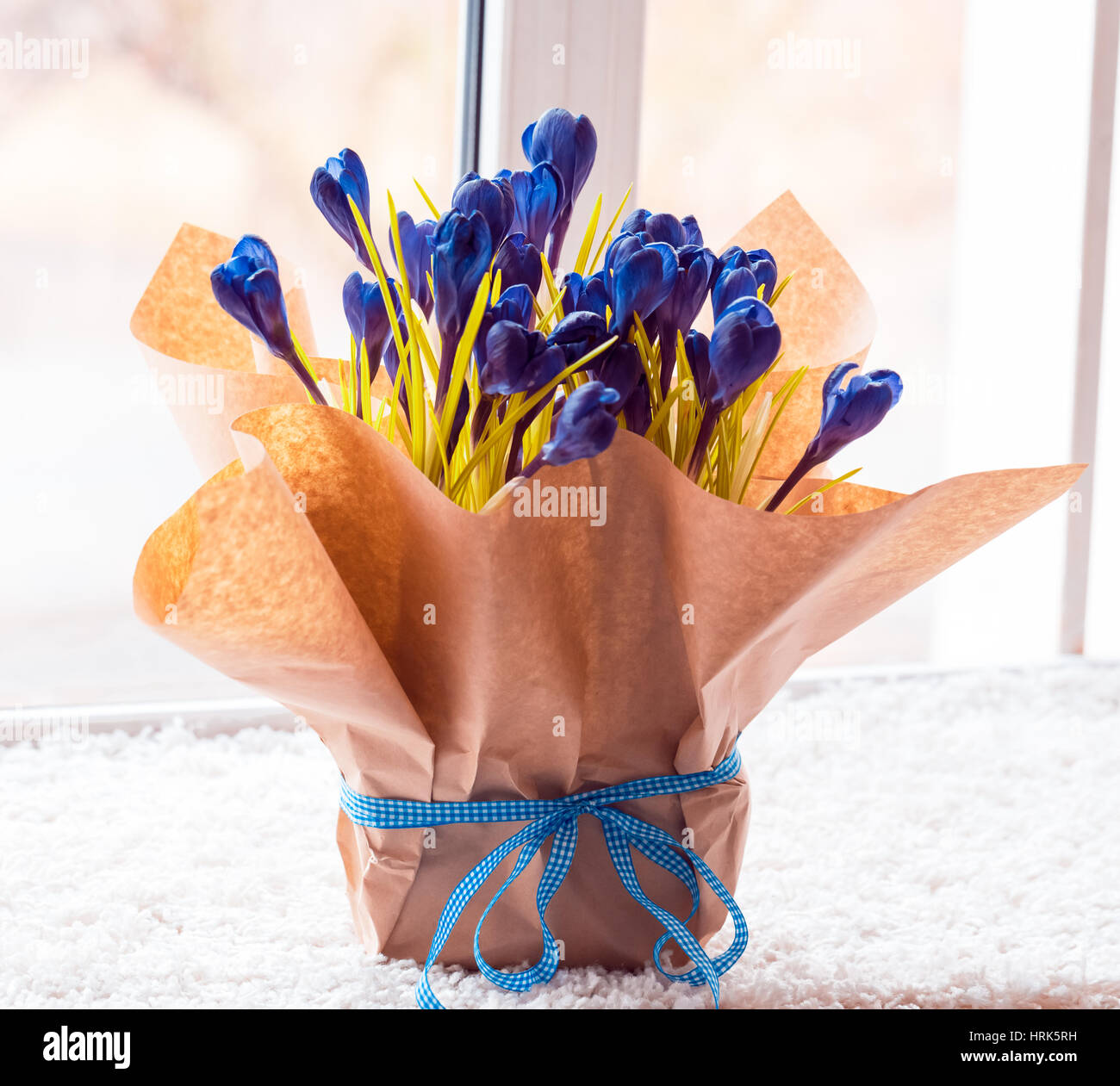 Beau crocus. Un bouquet de fleurs pour le 8 mars, ou la Saint-Valentin Banque D'Images