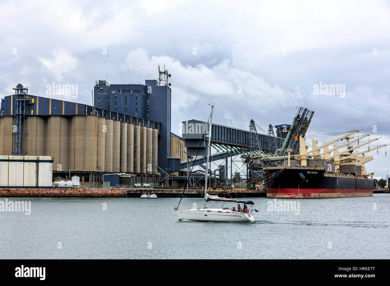 Transporteur de vrac BW indigo dans le port de Newcastle, Nouvelle-Galles du Sud, Australie Banque D'Images