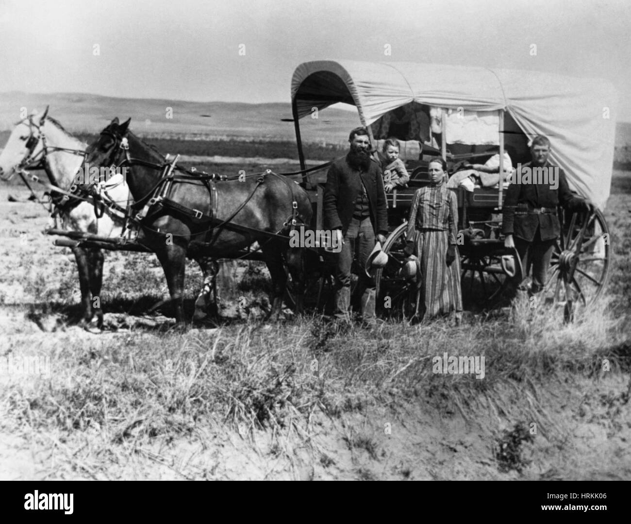 Chariot de Conestoga, 19e siècle Photo Stock Alamy