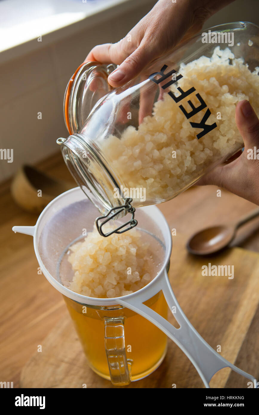 Faire de l'eau du kéfir fait maison Banque D'Images