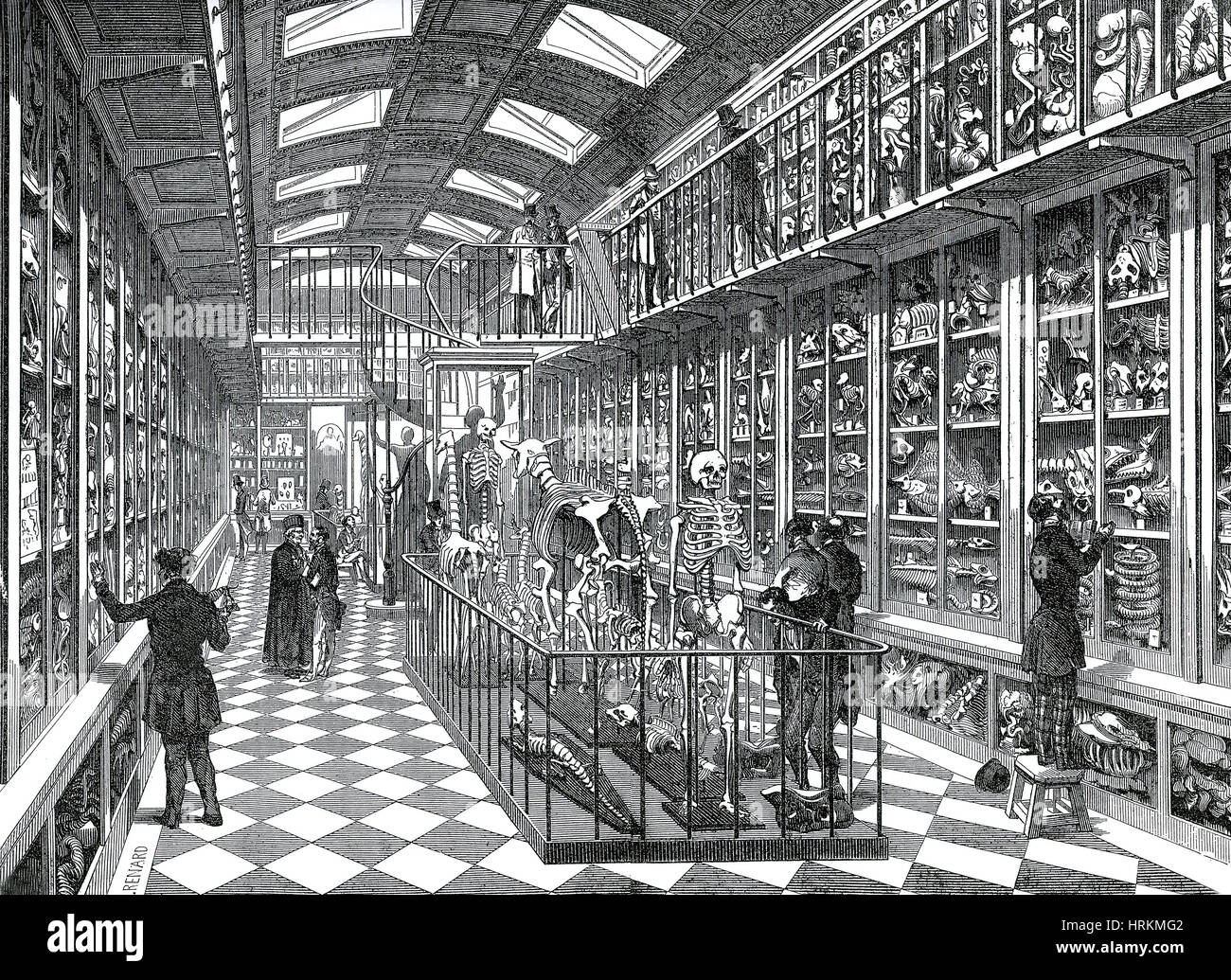 Dittrick Musée de la Médecine Banque D'Images