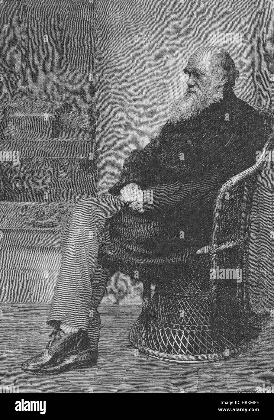 Charles Robert Darwin, Naturaliste anglais Banque D'Images