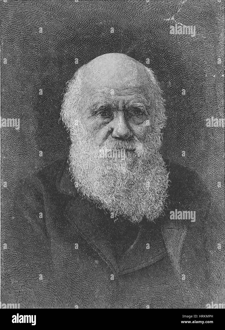 Charles Robert Darwin, Naturaliste anglais Banque D'Images