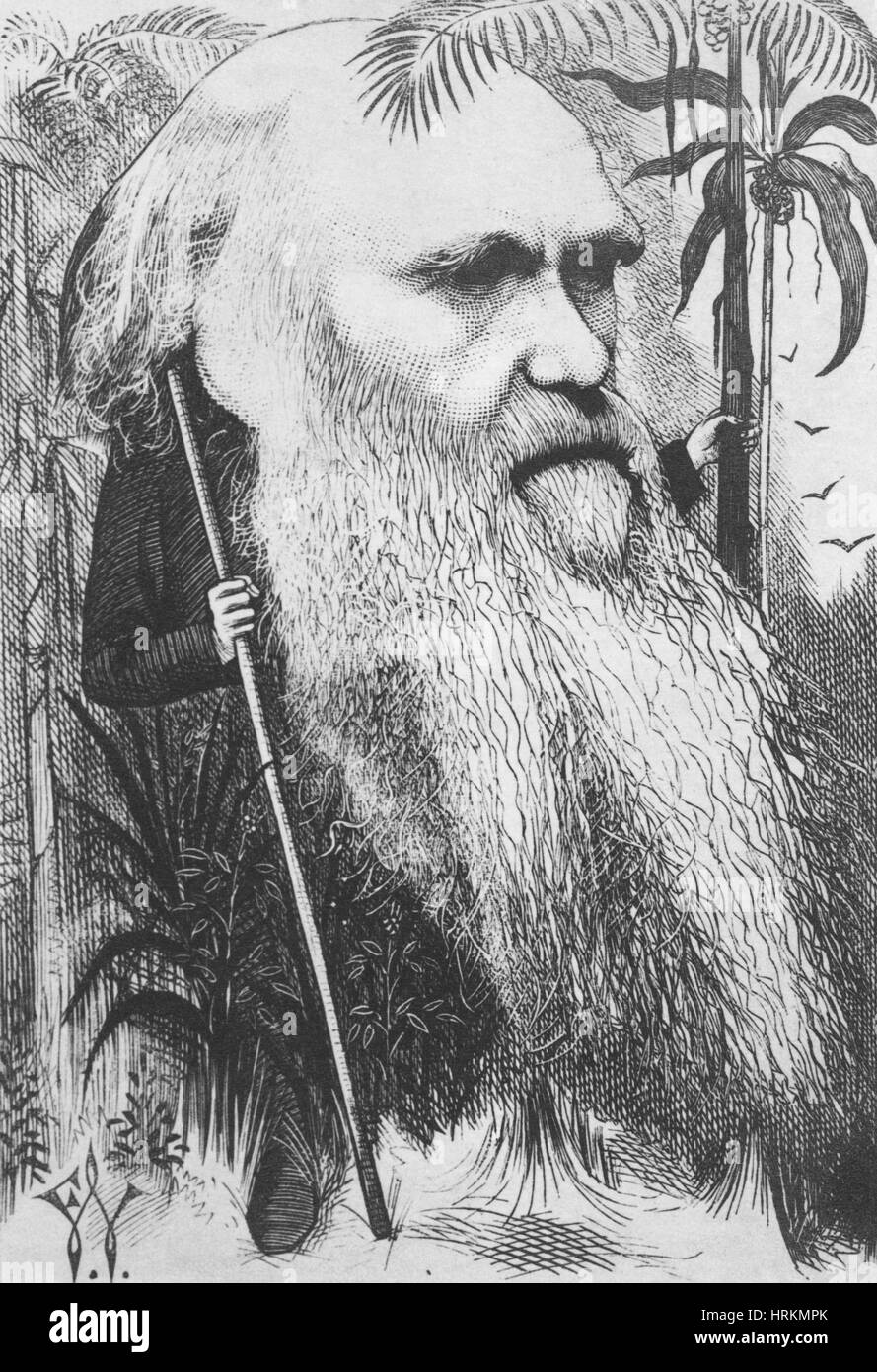 Charles Robert Darwin, Naturaliste anglais Banque D'Images