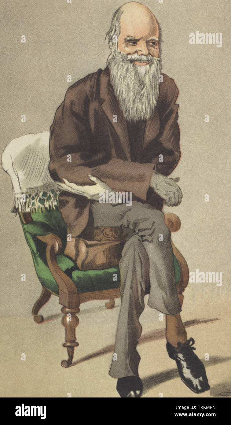 Charles Robert Darwin, Naturaliste anglais Banque D'Images