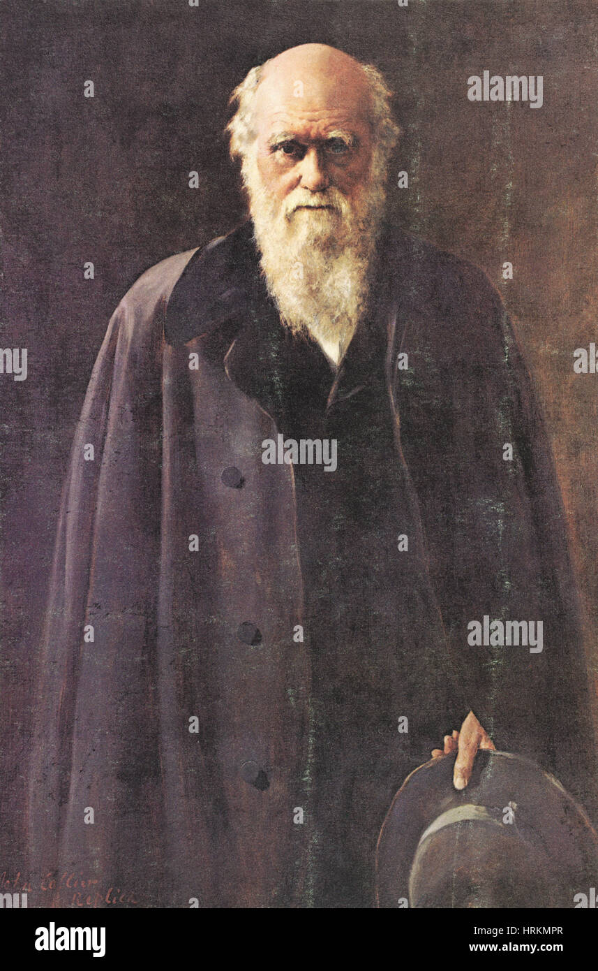 Charles Robert Darwin, Naturaliste anglais Banque D'Images