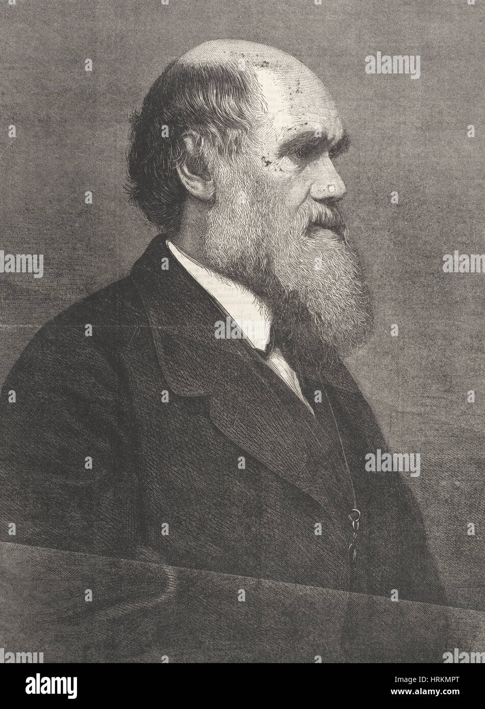 Charles Robert Darwin, Naturaliste anglais Banque D'Images