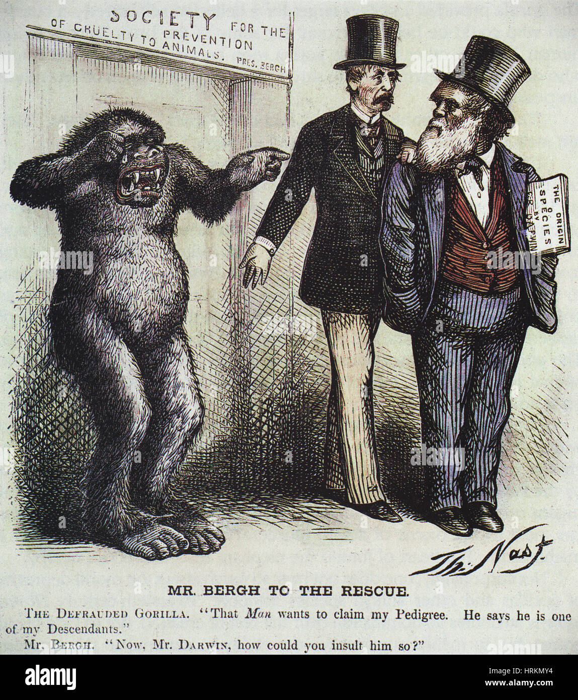 M. Bergh à la rescousse Banque D'Images