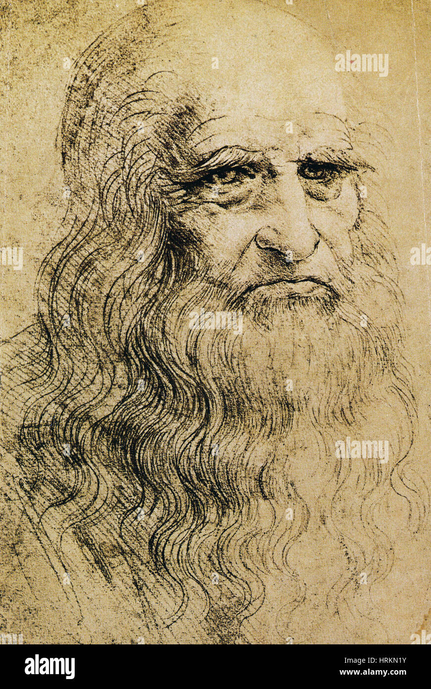 Leonardo da Vinci, Polymathe Italien Banque D'Images