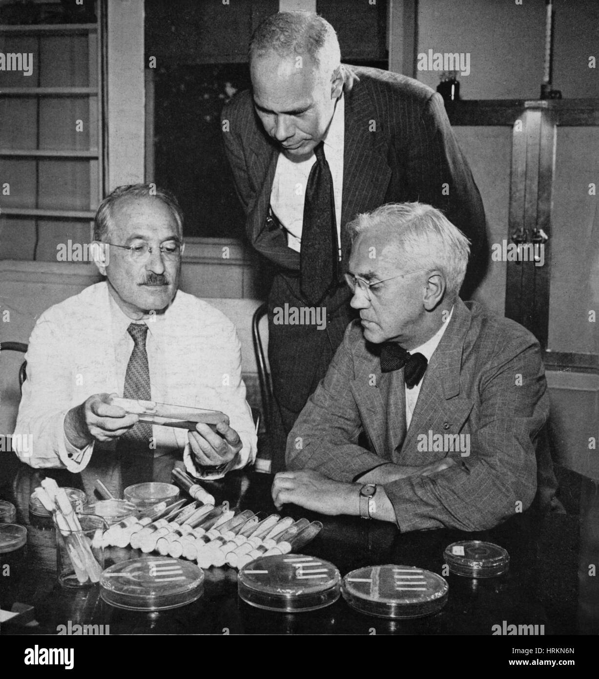 Waksman, Major, Fleming de lauréats du Prix Nobel Banque D'Images