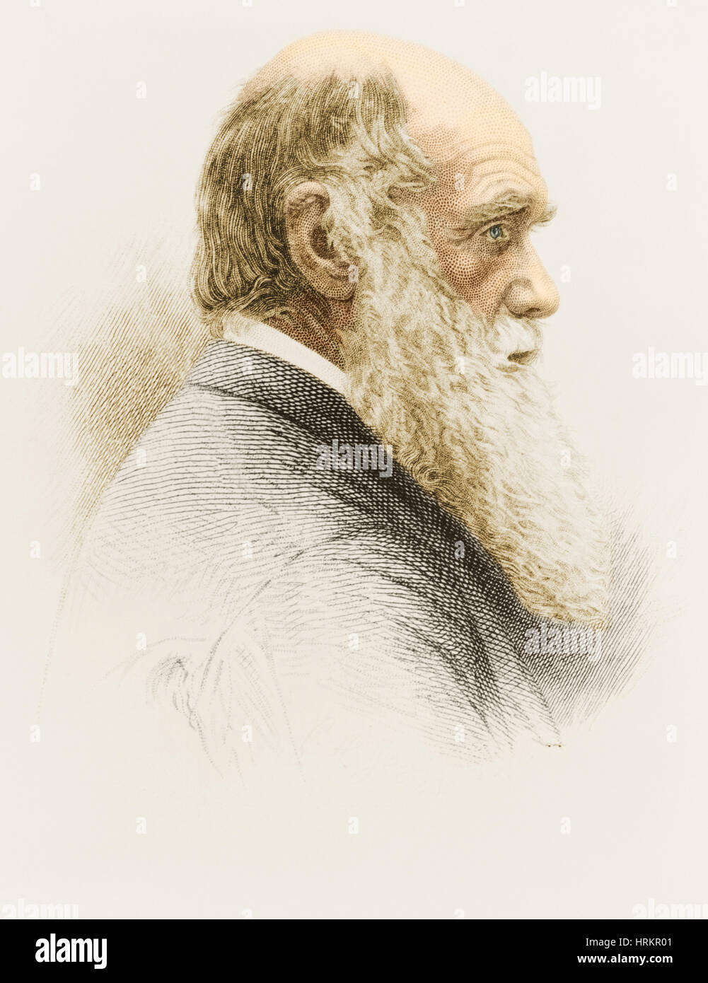 Charles Robert Darwin, Naturaliste anglais Banque D'Images