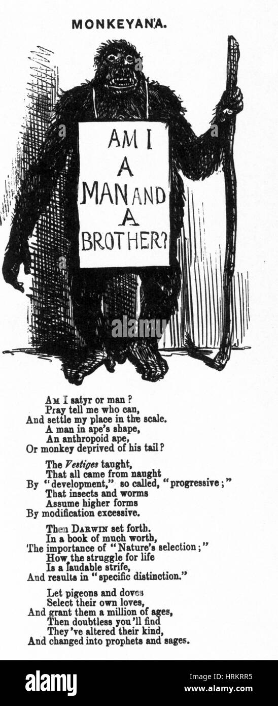 Monkeyana, 1861 Banque D'Images