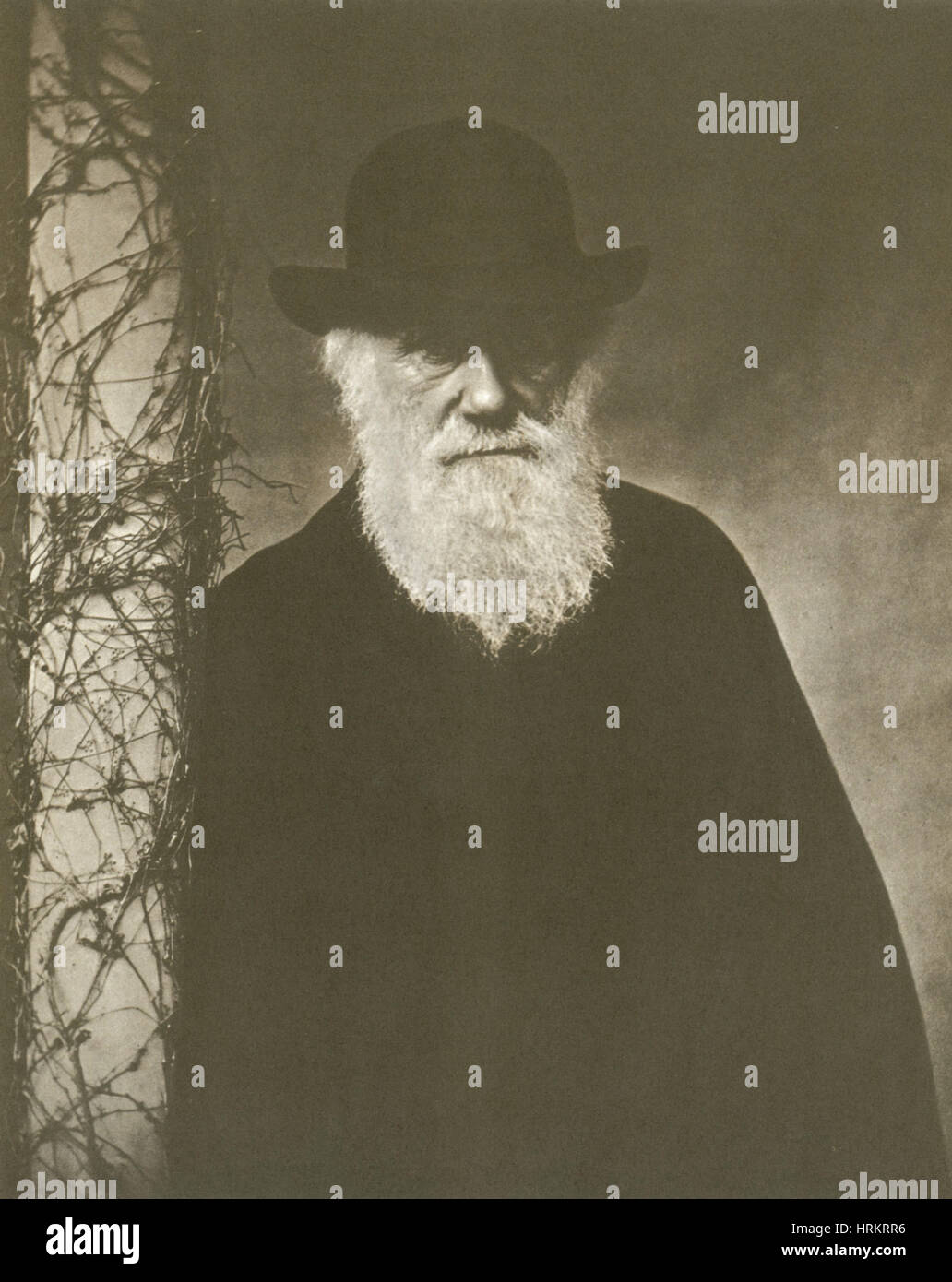 Charles Darwin, Naturaliste anglais, 1881 Banque D'Images