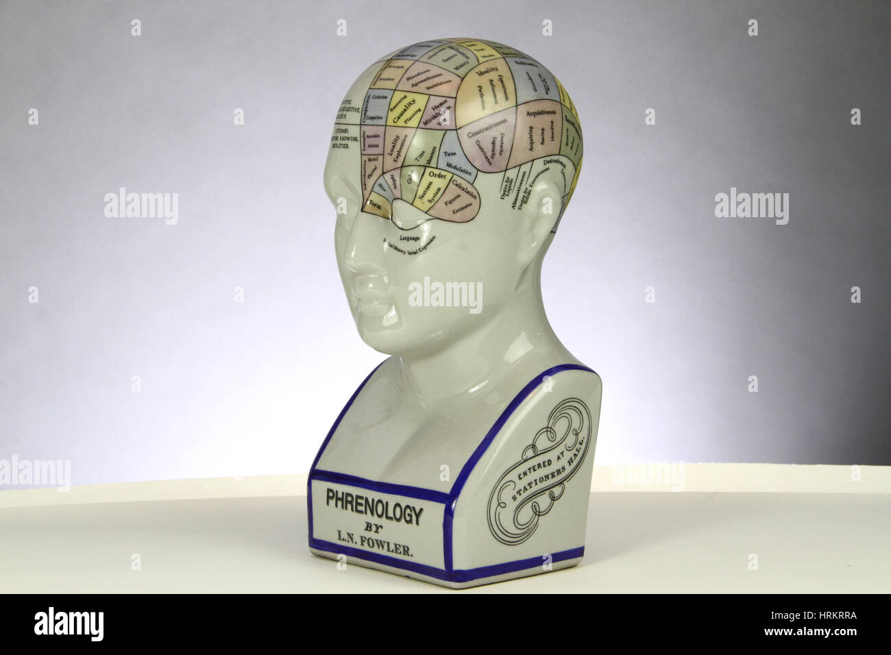 Modèle Phrenological Banque D'Images