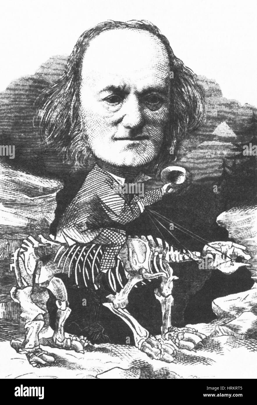Richard Owen, paléontologue anglais, 1872 Banque D'Images