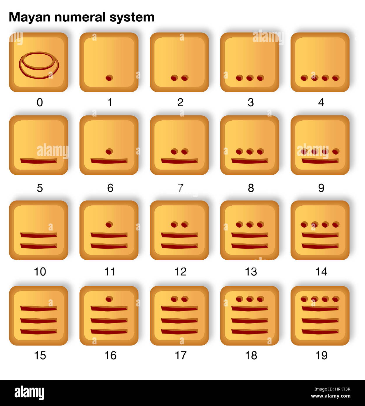 Le système de numéro de Maya, qui est la base 20 avec simple regroupement de base 5. Les chiffres et systèmes de numération (version de l'ESB) Banque D'Images