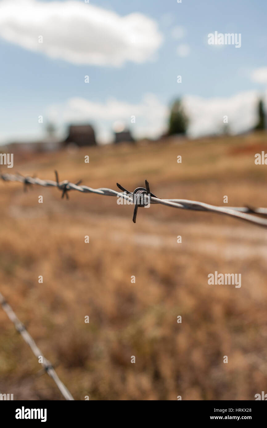 Barb Wire Fence du flou en arrière-plan de ferme Banque D'Images