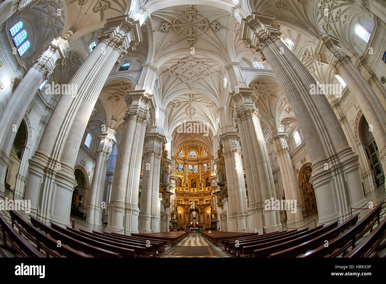 Cathédrale de Granada, Granada, Andalousie, Espagne, Europe Banque D'Images
