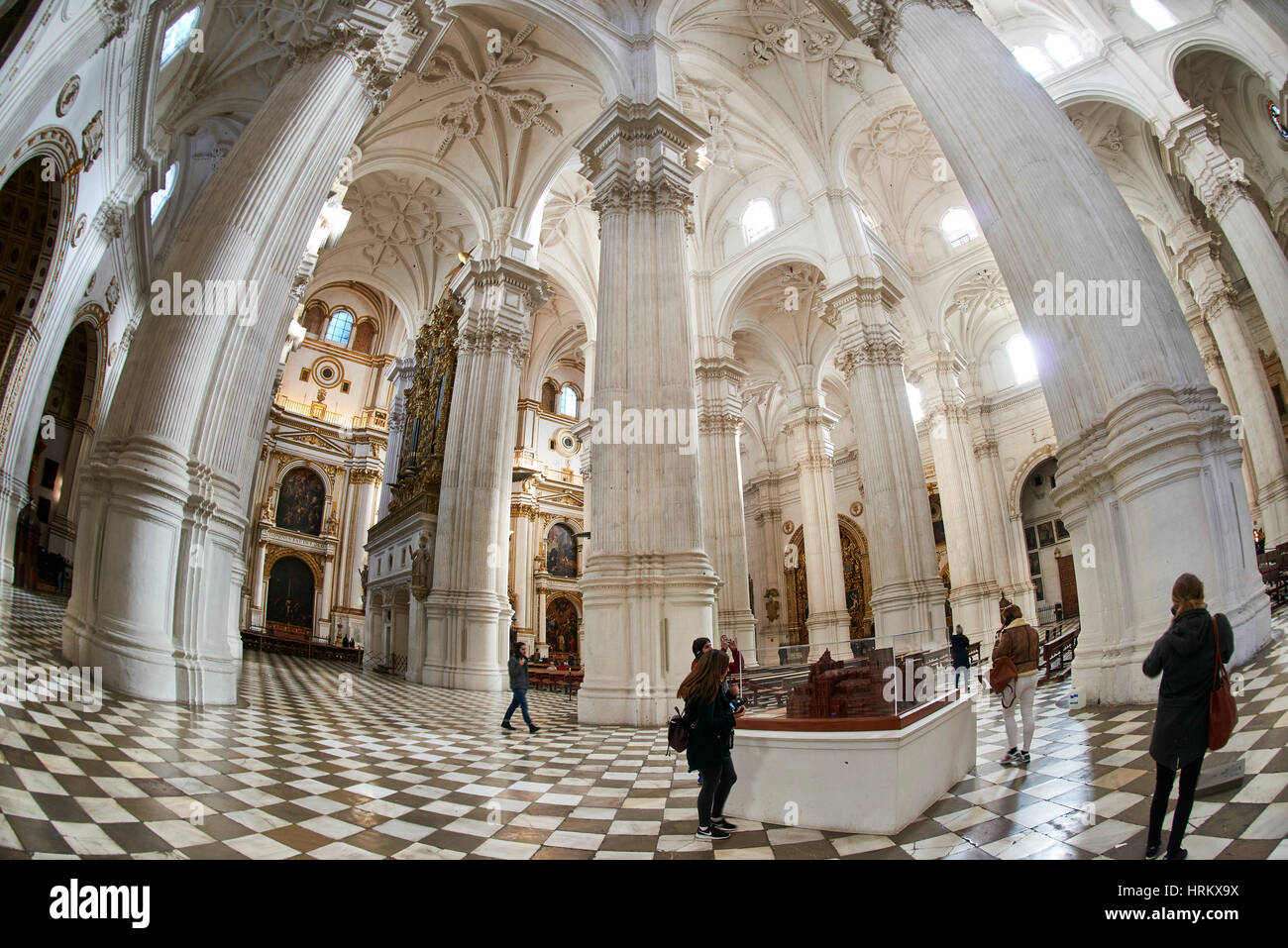 Cathédrale de Granada, Granada, Andalousie, Espagne, Europe Banque D'Images