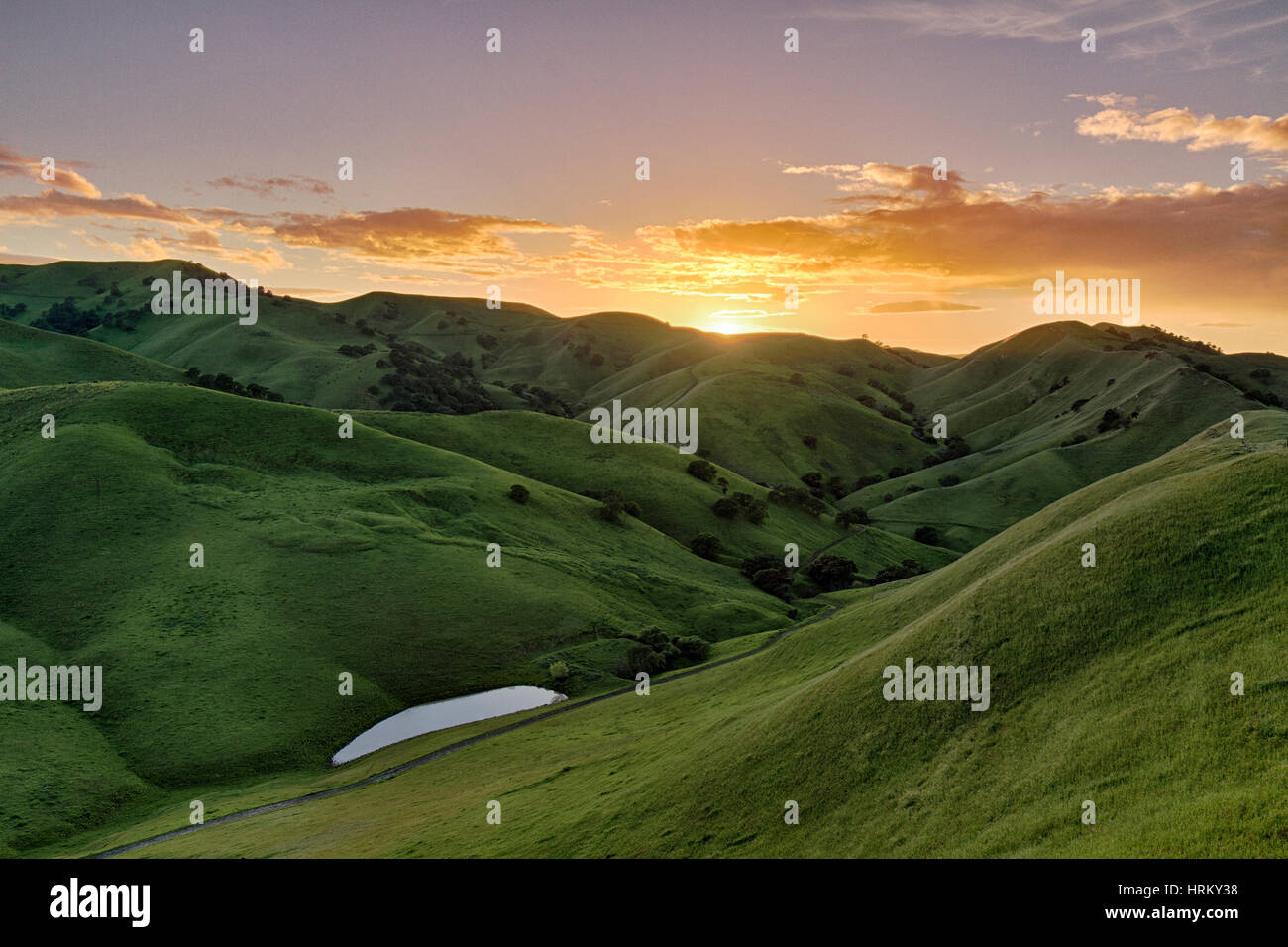 Coucher de soleil sur un champ vert Banque D'Images