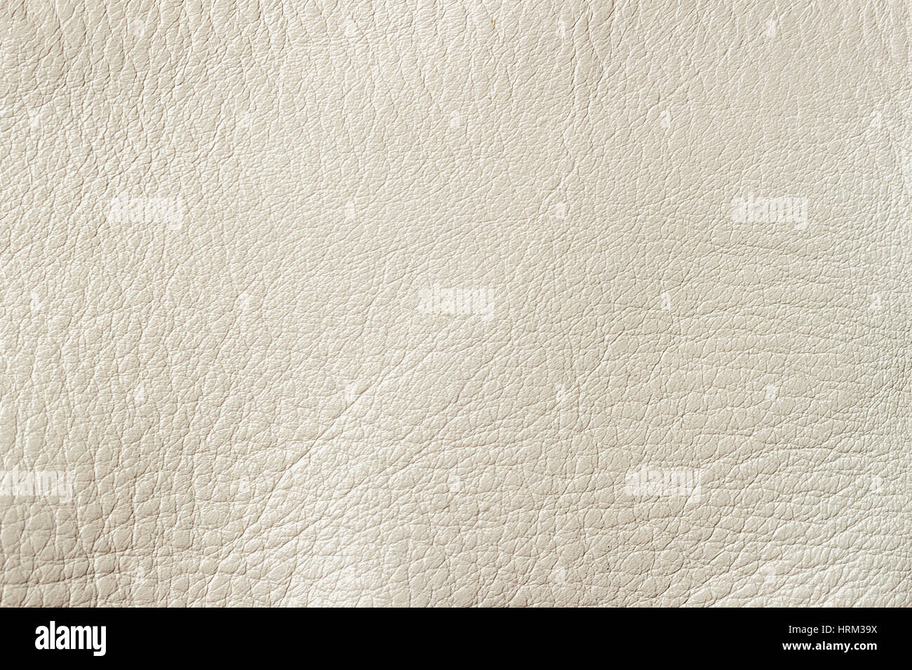 La crème blanche en cuir véritable peinture de fond ou la texture. Pour le fond , toile de fond, la composition du substrat, utiliser. Avec place pour votre texte Banque D'Images