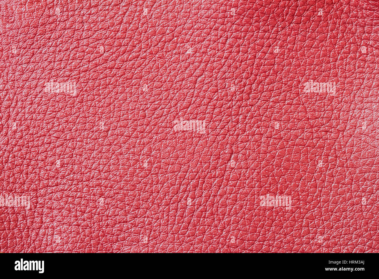 La peinture rouge Fond en cuir véritable, texture naturelle. Pour toile de fond, la composition du substrat, de l'utilisation. Avec place pour votre texte Banque D'Images