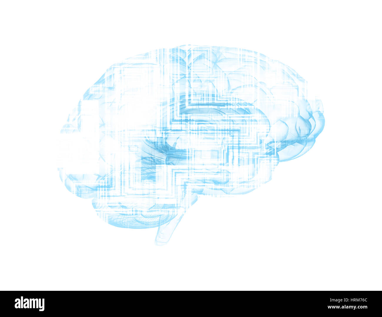 Cerveau humain et la carte de circuits imprimés sur fond blanc Banque D'Images