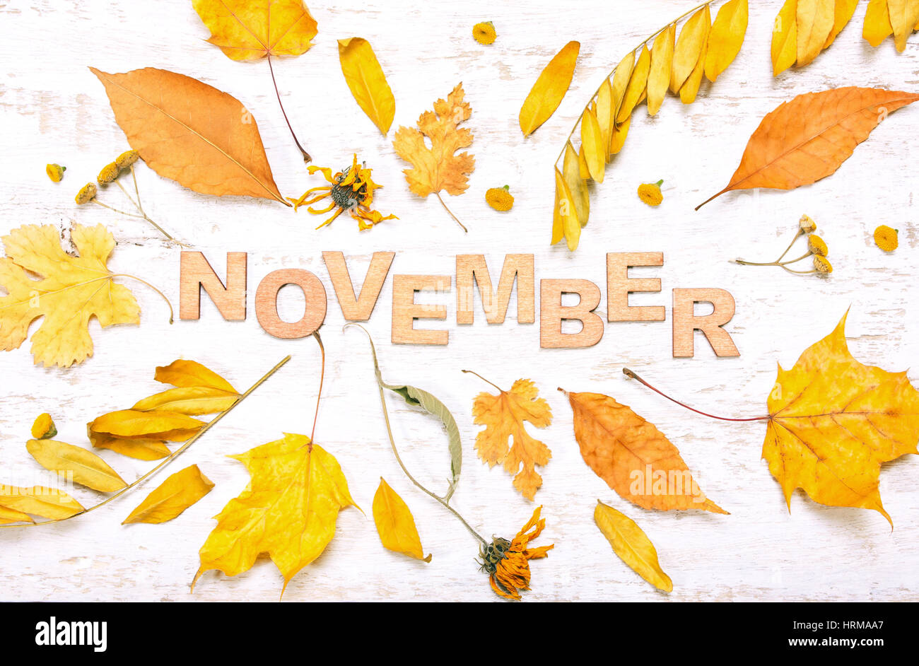Le mot 'novembre' avec des feuilles jaunes sur un fond de bois blanc. Composition d'automne Banque D'Images