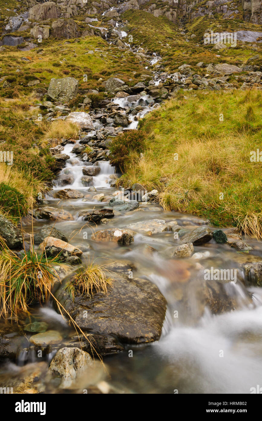 Un petit ruisseau de montagne sur le MCG Idwal piste dans le Parc National de Snowdonia dans le Nord du Pays de Galles. Banque D'Images
