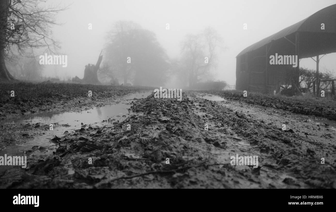 Très boueux et brumeuse champ ferme avec grange en noir et blanc, campagne des Cotswolds, en Angleterre, Royaume-Uni Banque D'Images