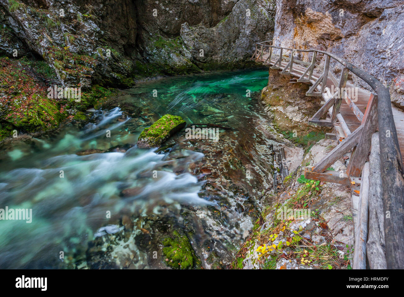 Canyon de Vintgar en Slovénie Banque D'Images