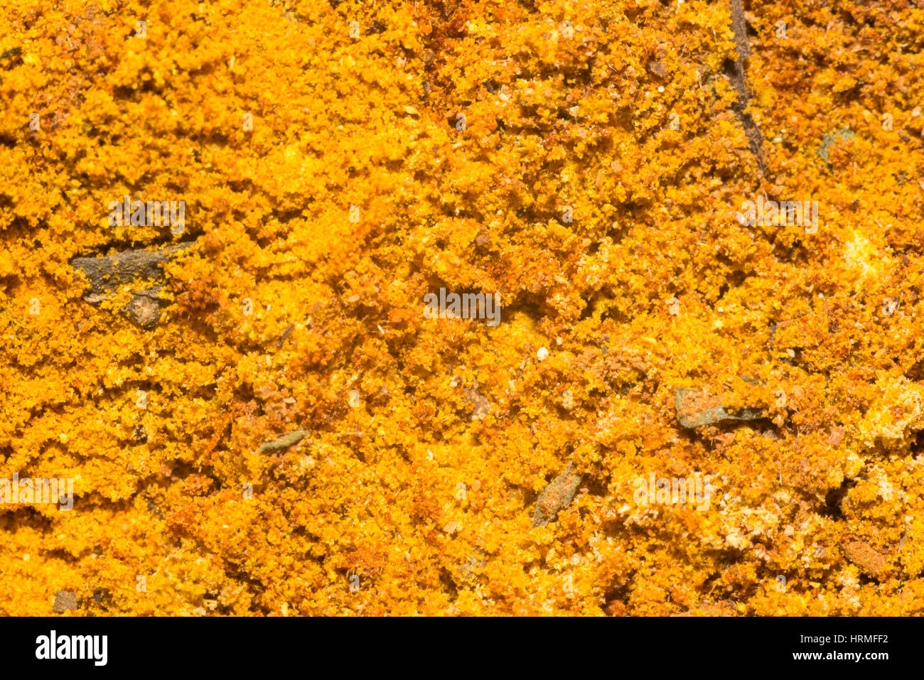 Closeup macro d'assaisonnement épices marocaines Banque D'Images